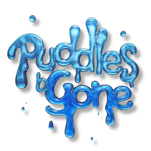 Puddles B Gone Store